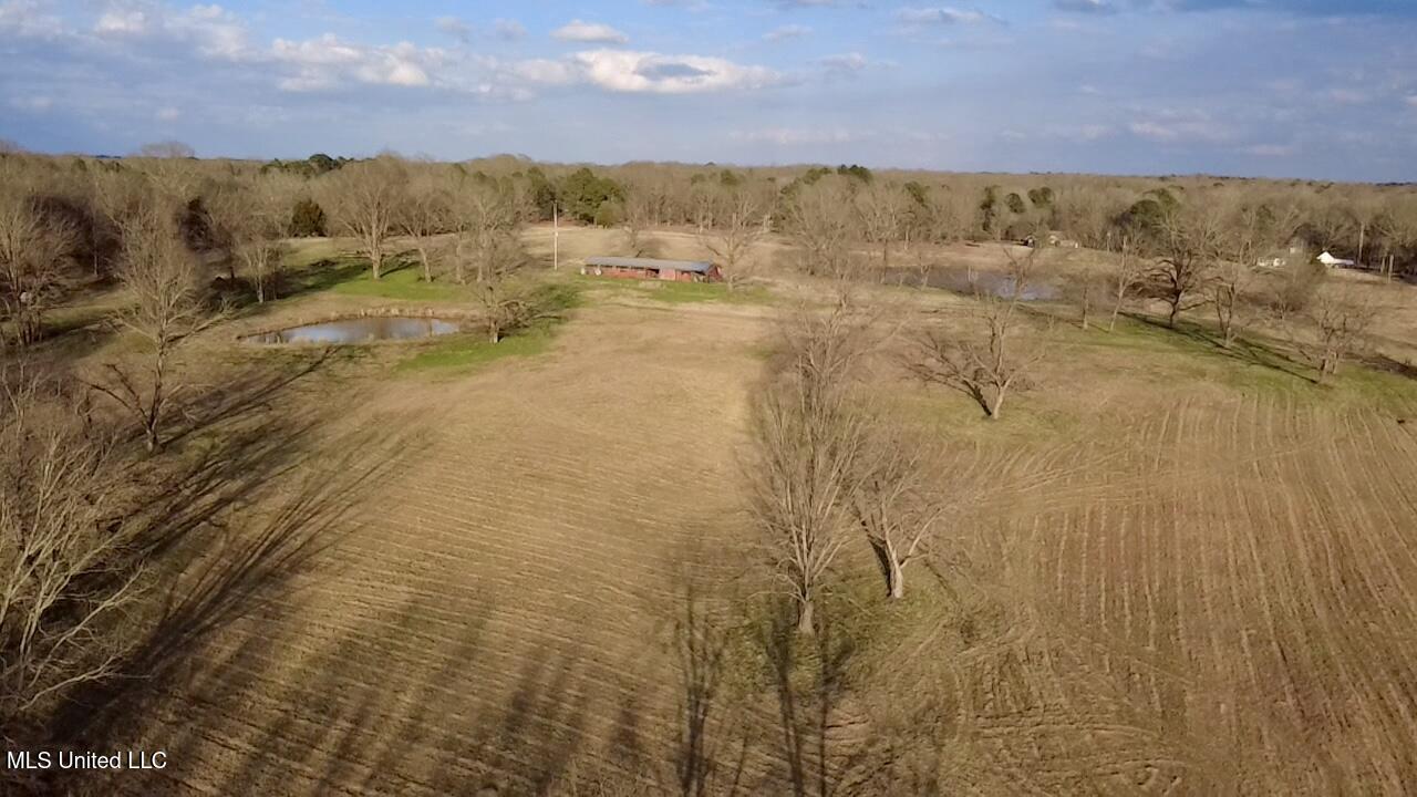1255 North Chapel Hill Road Raymond, MS 39154 - Photo 10 of 19 2026-02-19-16-43-43-864