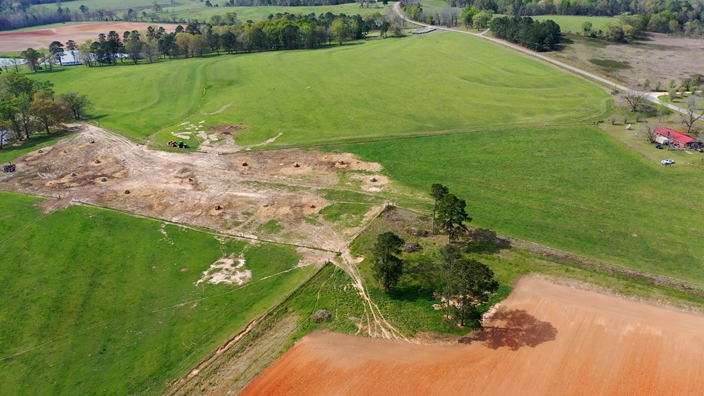 369 Bud Gary Road Clayton, AL 36016 - Photo 17 of 42