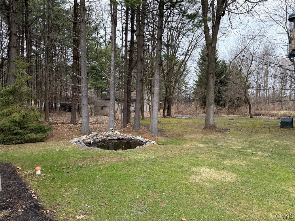 2655 Falls Road Marcellus, NY 13108 - Photo 48 of 48