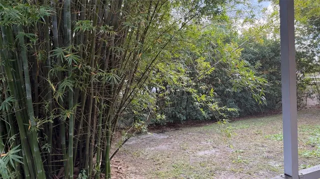 a view of a yard with plants and trees