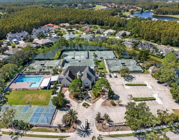 a view of a garden with plants