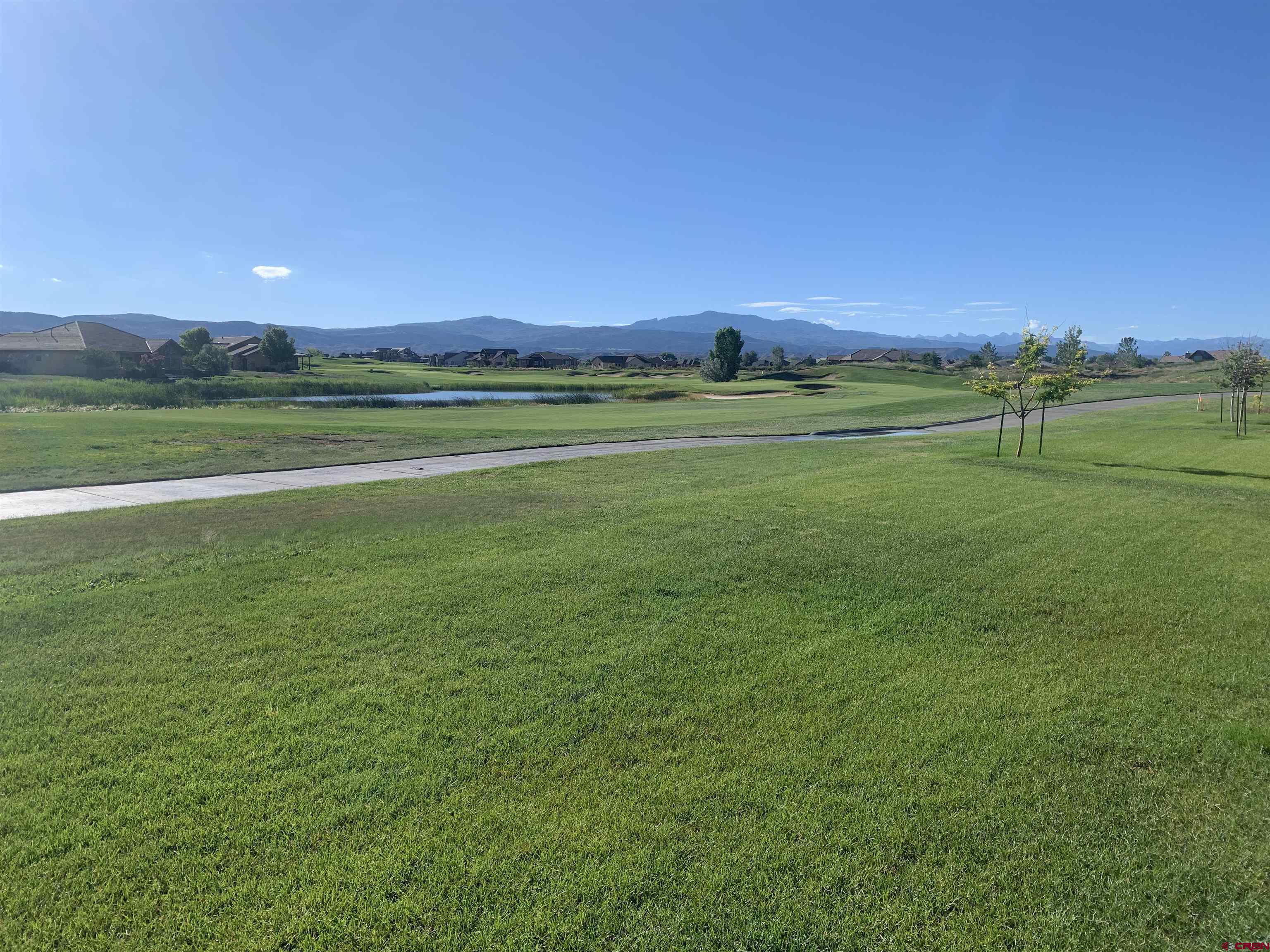 2533 Bear Lake Drive Montrose, CO 81401 - Photo 3 of 34 a view of a green field with lots of bushes