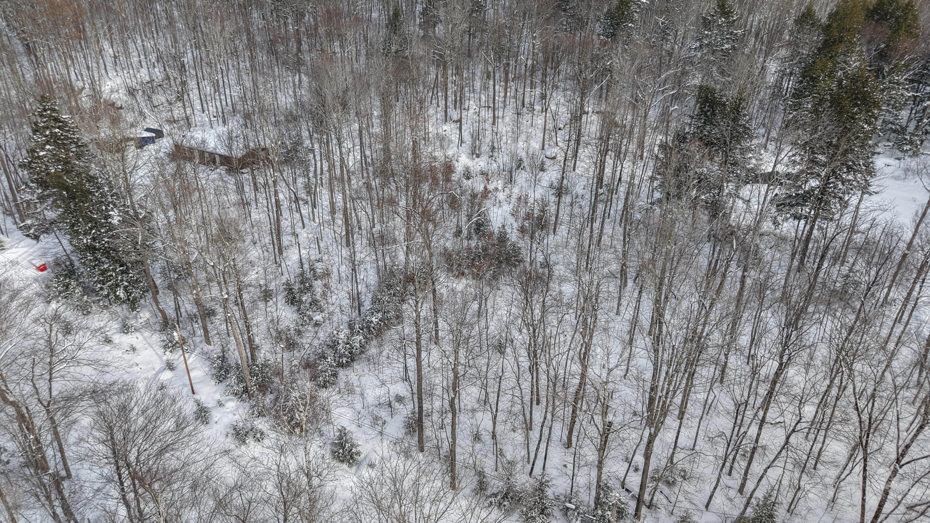 M30-c L28 Pond Road St. Albans, ME 04971 - Photo 15 of 22 dji_fly_20260127_141244_0441_17695428322