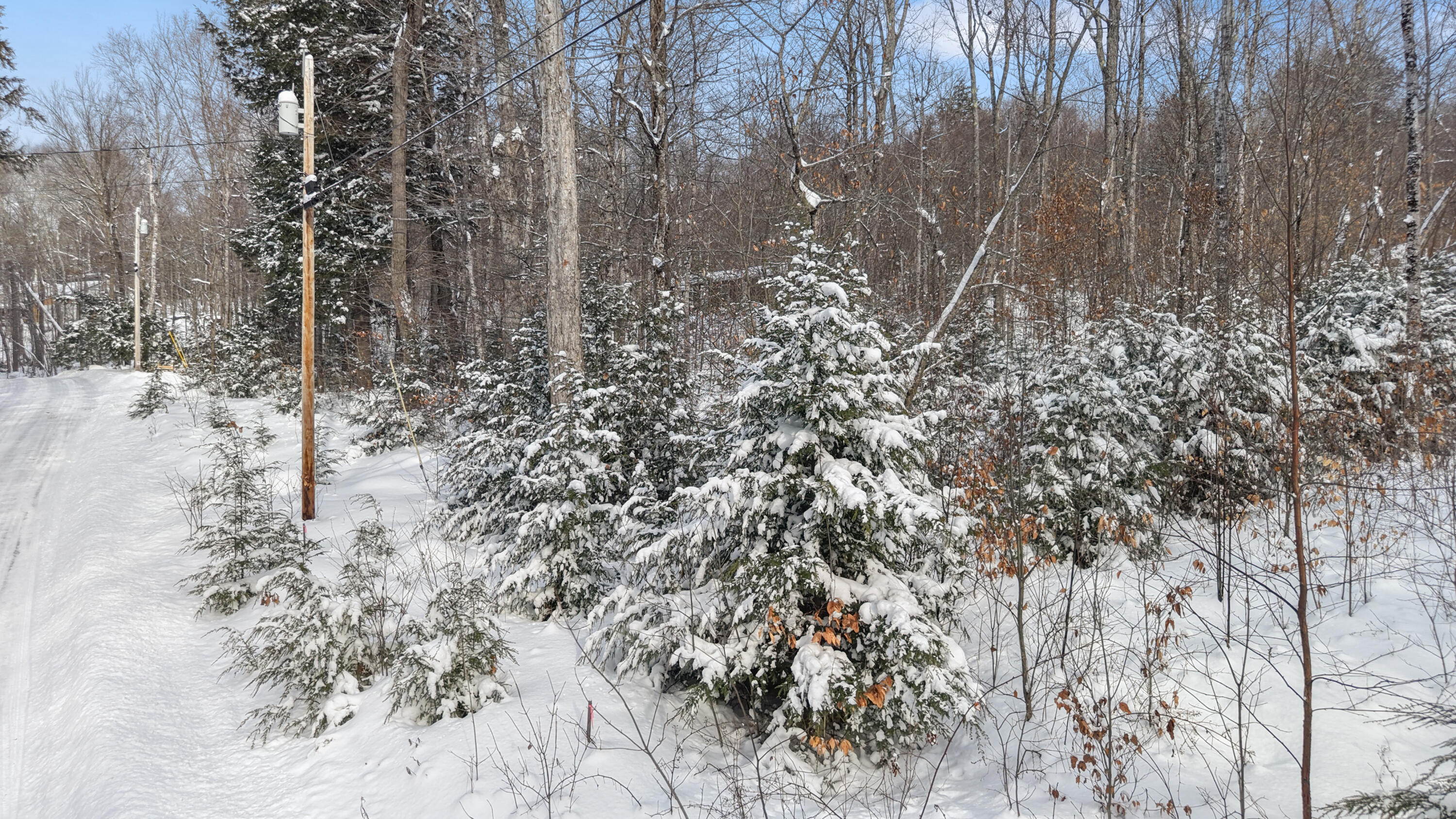 M30-c L28 Pond Road St. Albans, ME 04971 - Photo 17 of 22 dji_fly_20260127_141416_0451_17695428283