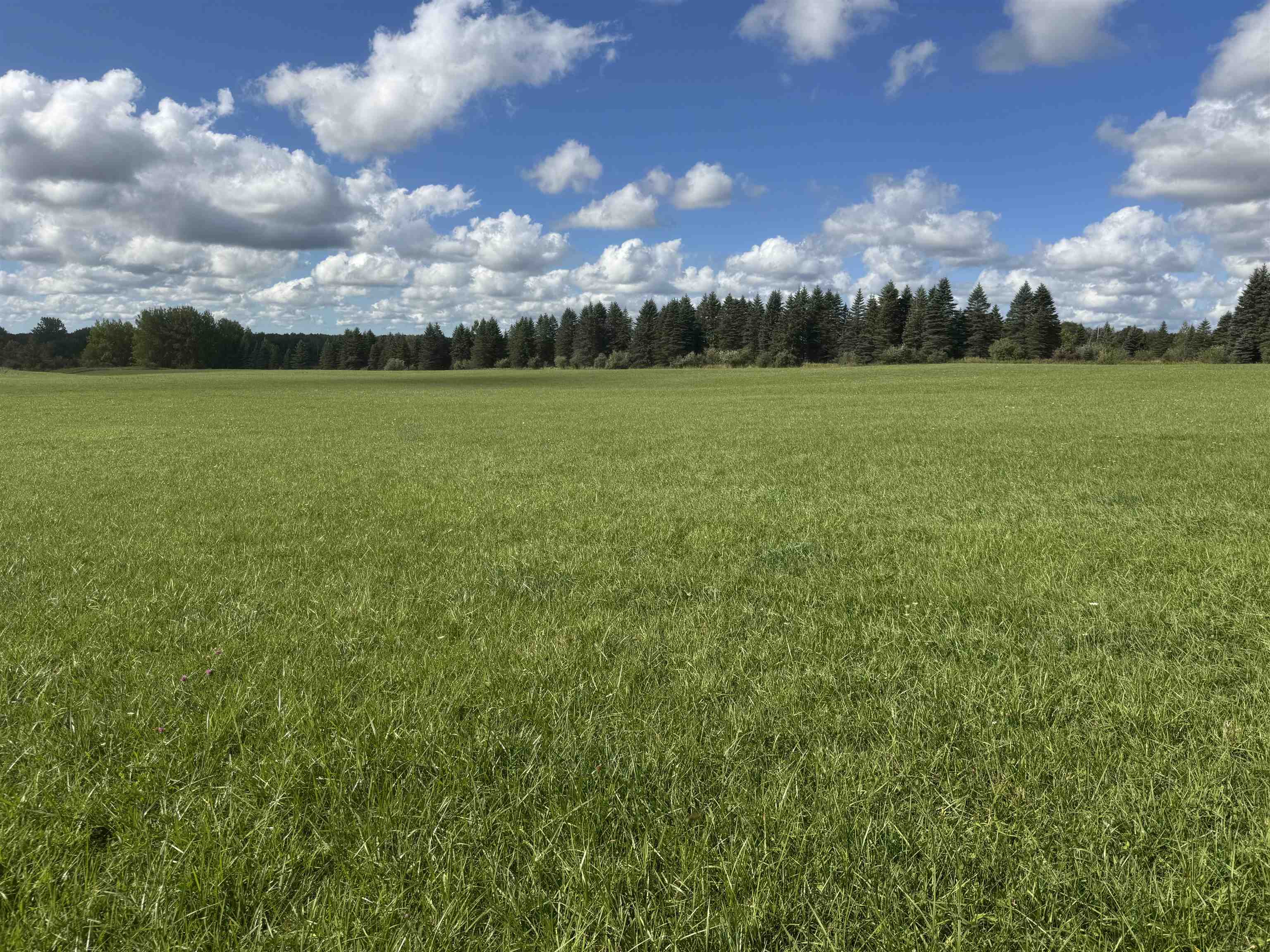 0 Ora Lake Road Hale, MI 48739 - Photo 1 of 6 1951039-425dc222-3726-4522-866e-1819589974c5.JPG