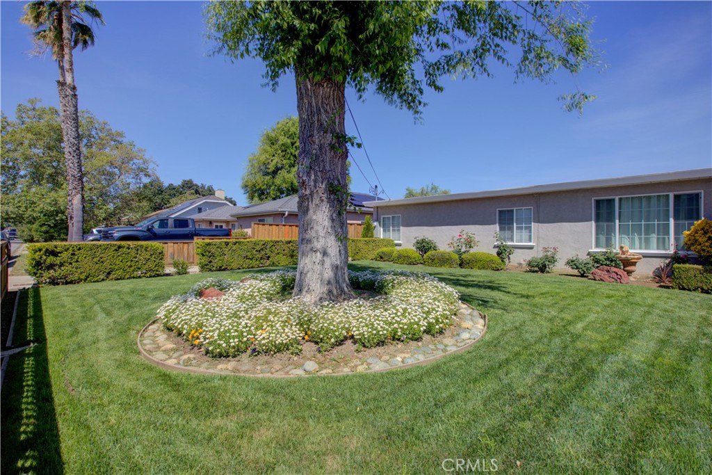 14793 Ronda San Jose, CA 95124 - Photo 4 of 30