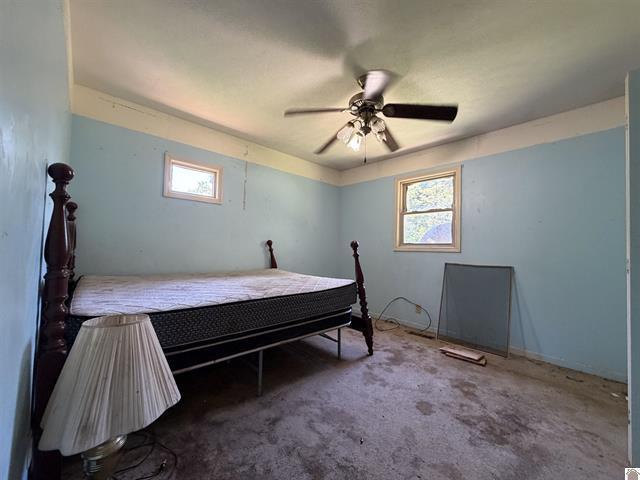 1742 Ed Mitchell Road Princeton, KY 42445 - Photo 10 of 15 10