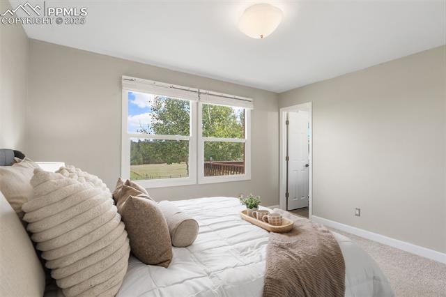 15535 Softwood Road Elbert, CO 80106 - Photo 17 of 47 Carpeted bedroom with baseboards