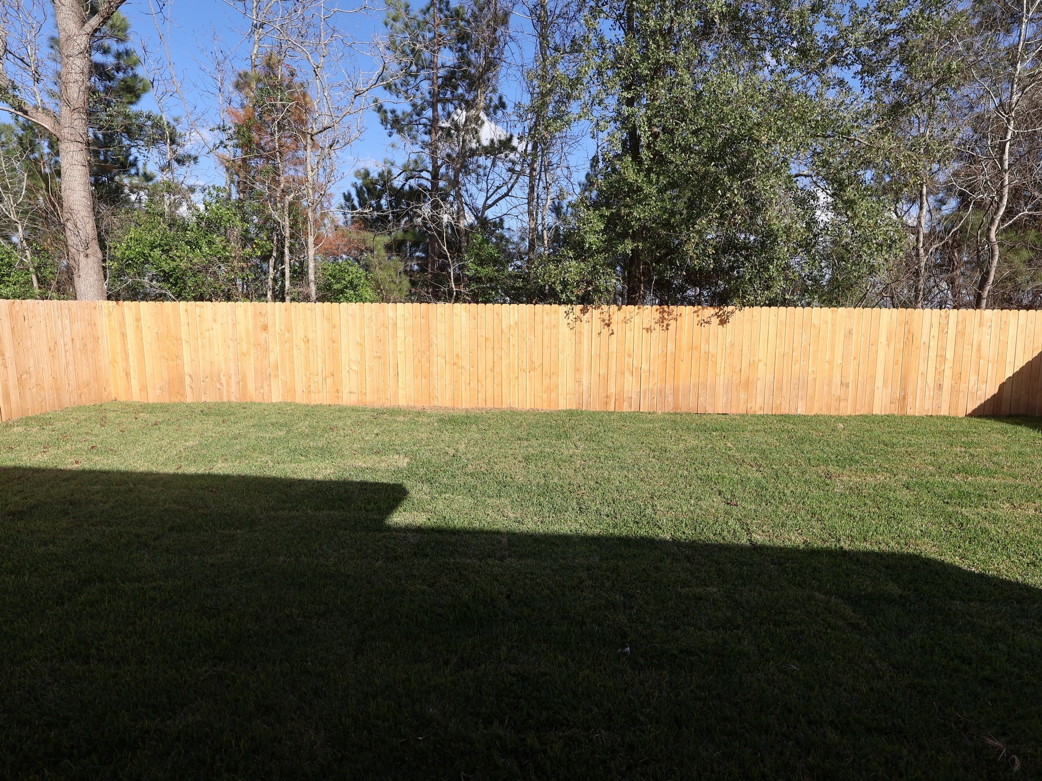 957 Garden Path Drive Willis, TX 77378 - Photo 32 of 37 a view of yard with swimming pool and trees