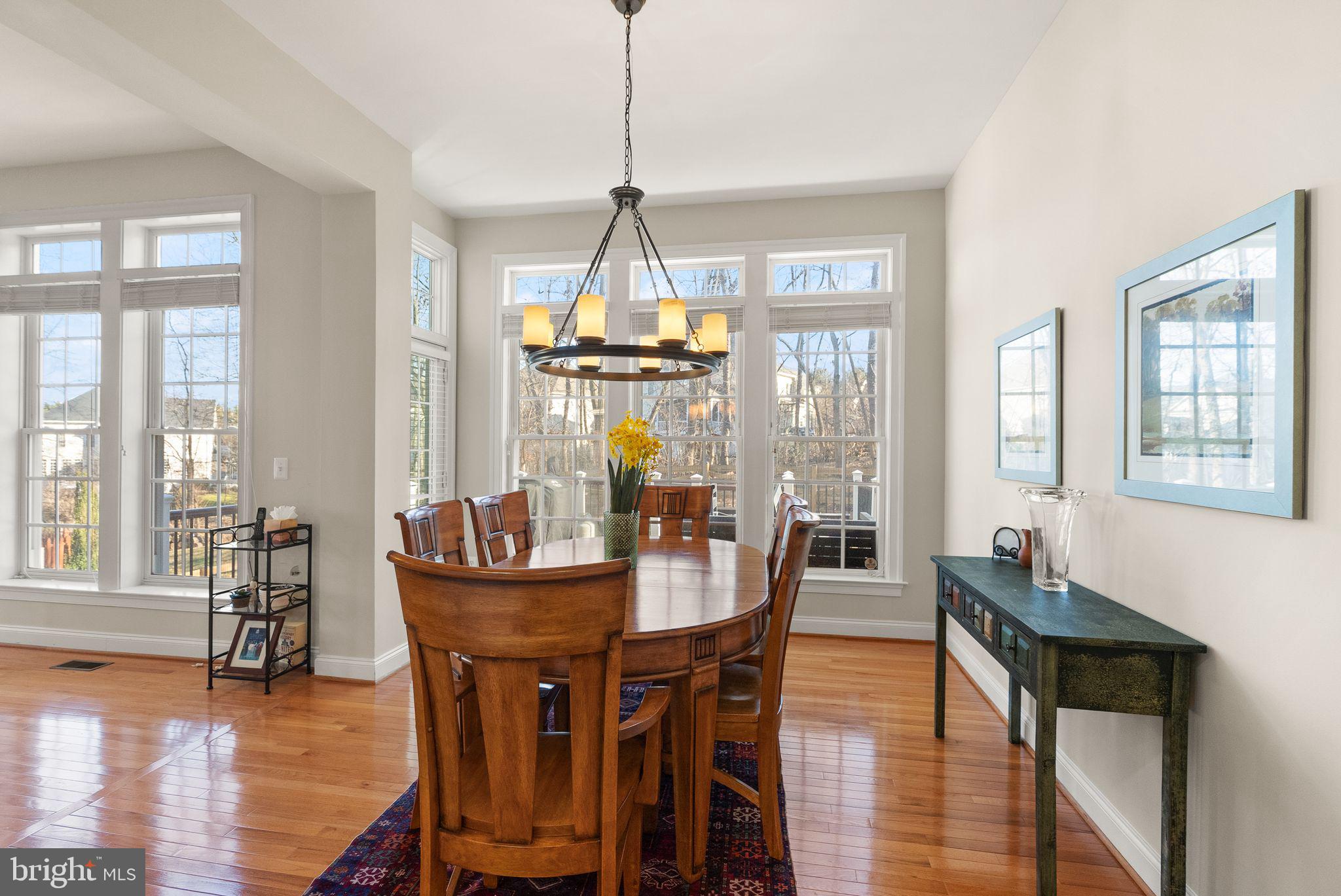 19126 Stream Crossing Court Leesburg, VA 20176 - Photo 39 of 138