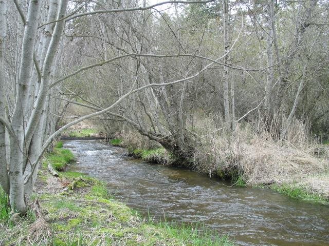 37505 North Valley Road Elk, WA 99009 - Photo 18 of 19