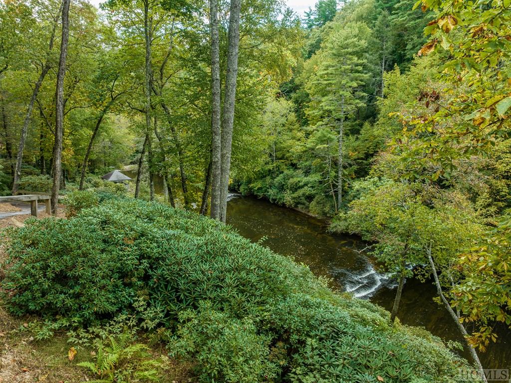244 The Rapids Sapphire, NC 28774 - Photo 7 of 58 Gallery Image 7
