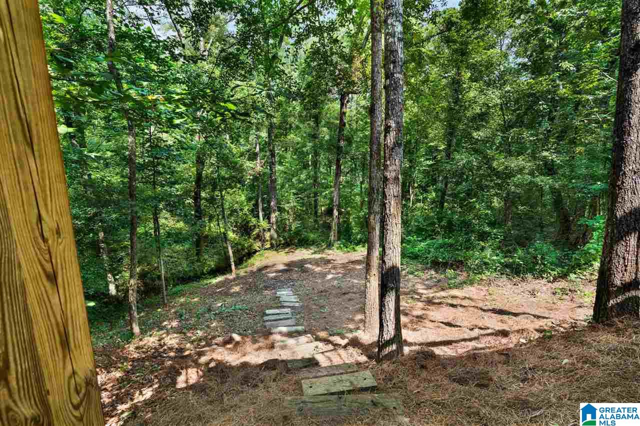 209 Liberty Lane Chelsea, AL 35043 - Photo 39 of 49
