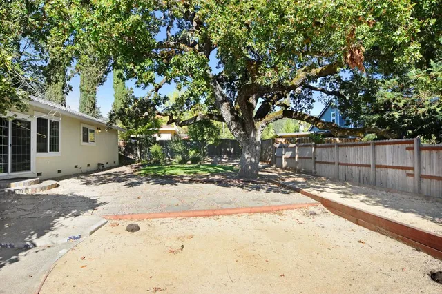 a view of a backyard with a tree