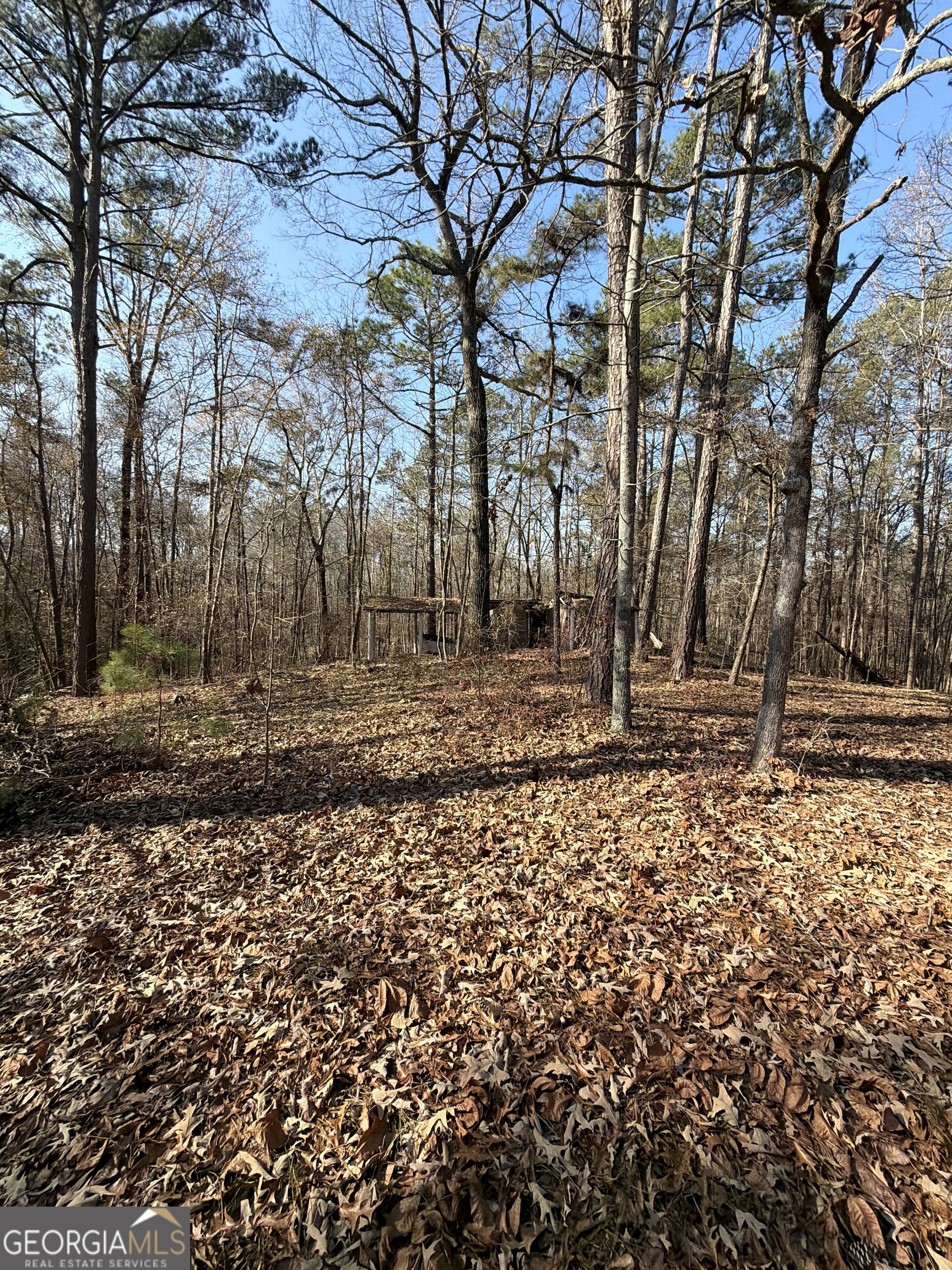 3608 Franklinton Road Dry Branch, GA 31020 - Photo 4 of 7