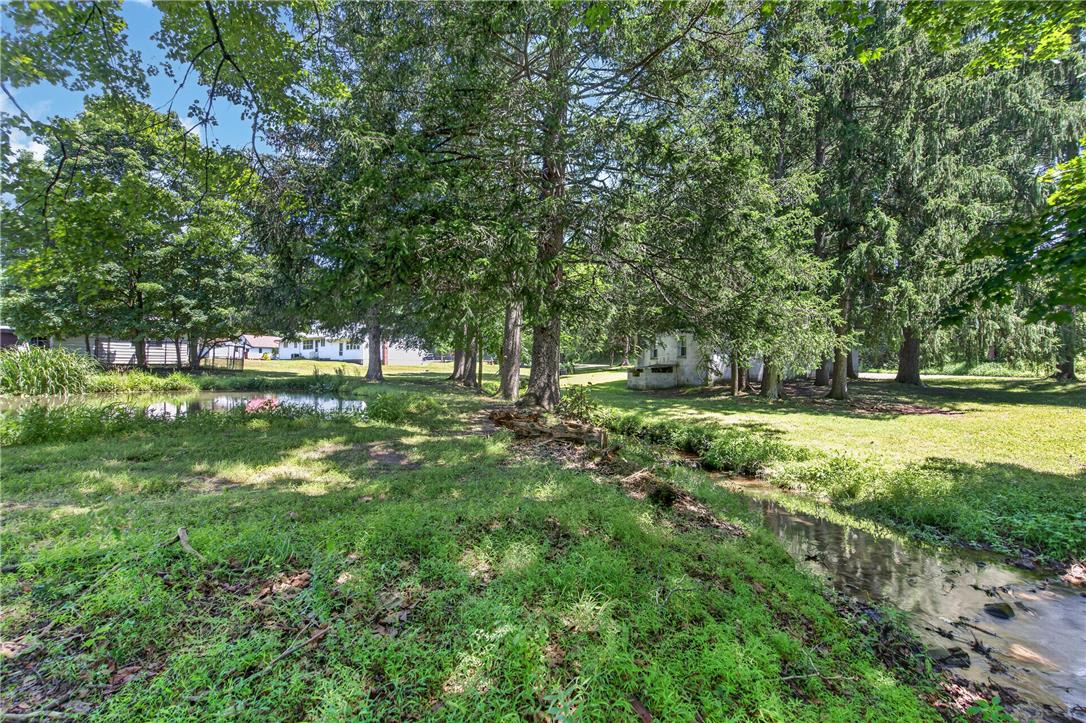 51 Reynolds Road Tamaqua, PA 18252 - Photo 63 of 71 A tranquil pond and flowing stream adorn this verdant property, framed by mature trees and lush green grass.