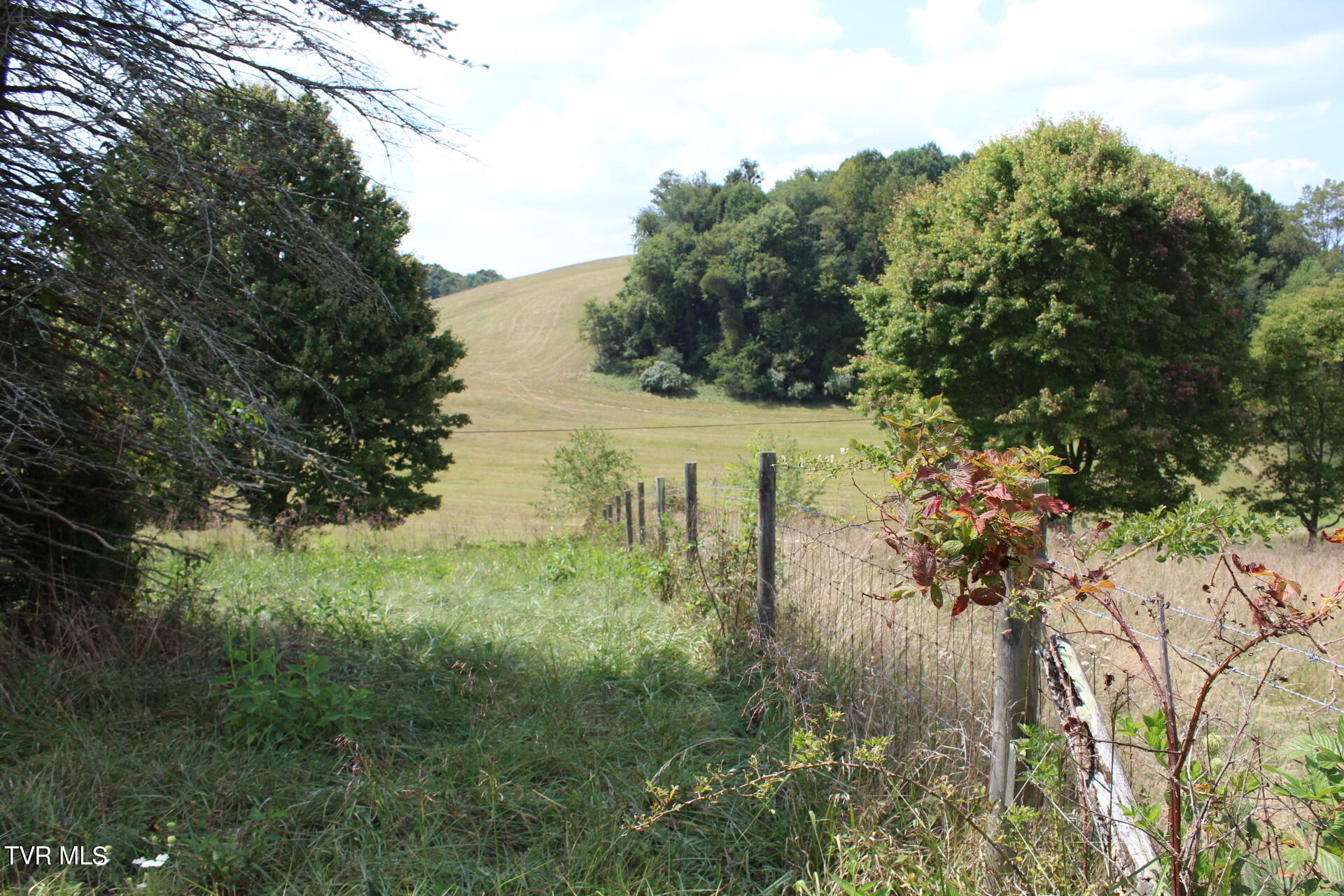 Tbd Chestnut Ridge Road Chilhowie, VA 24319 - Photo 8 of 36 IMG_2267