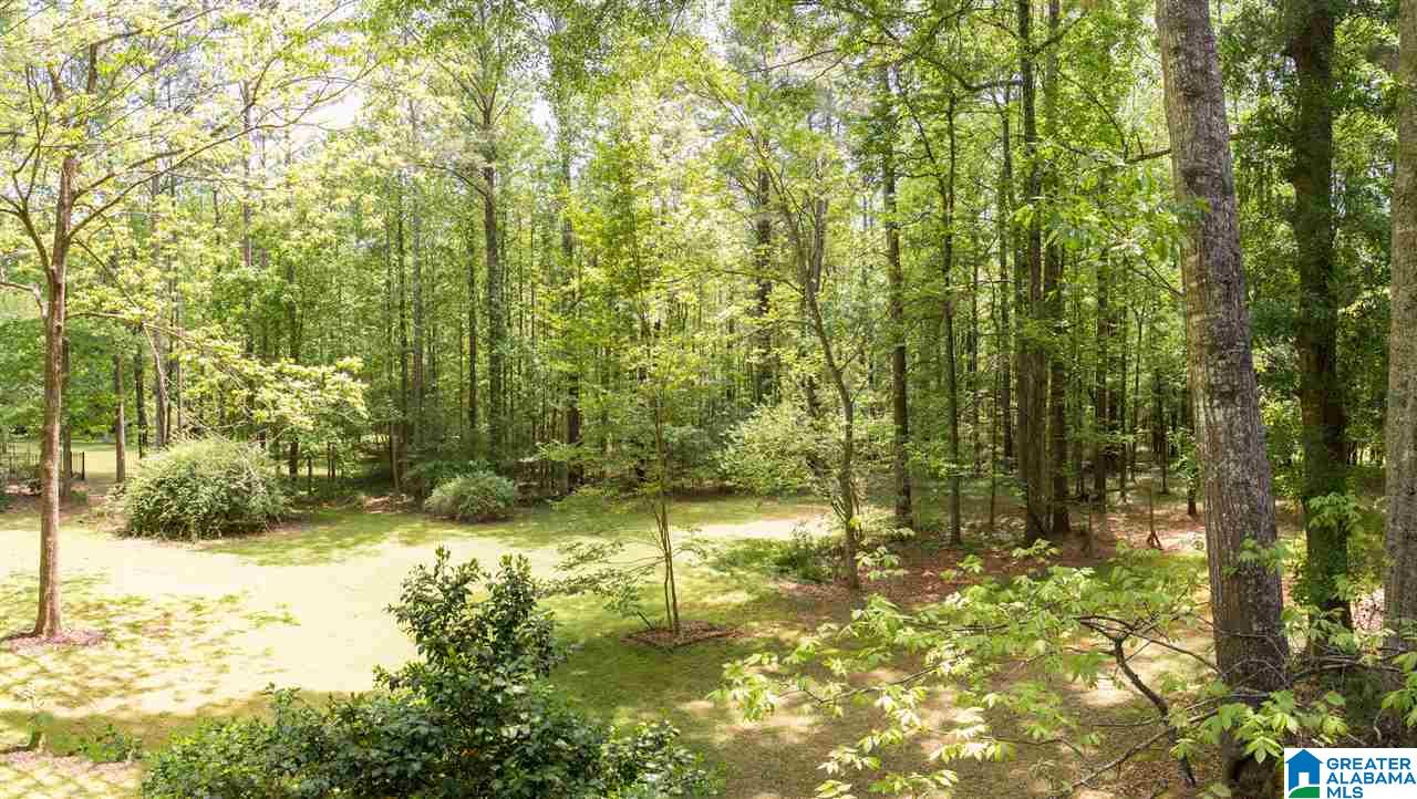 6281 Zeigler Road Southwest Leeds, AL 35094 - Photo 24 of 46