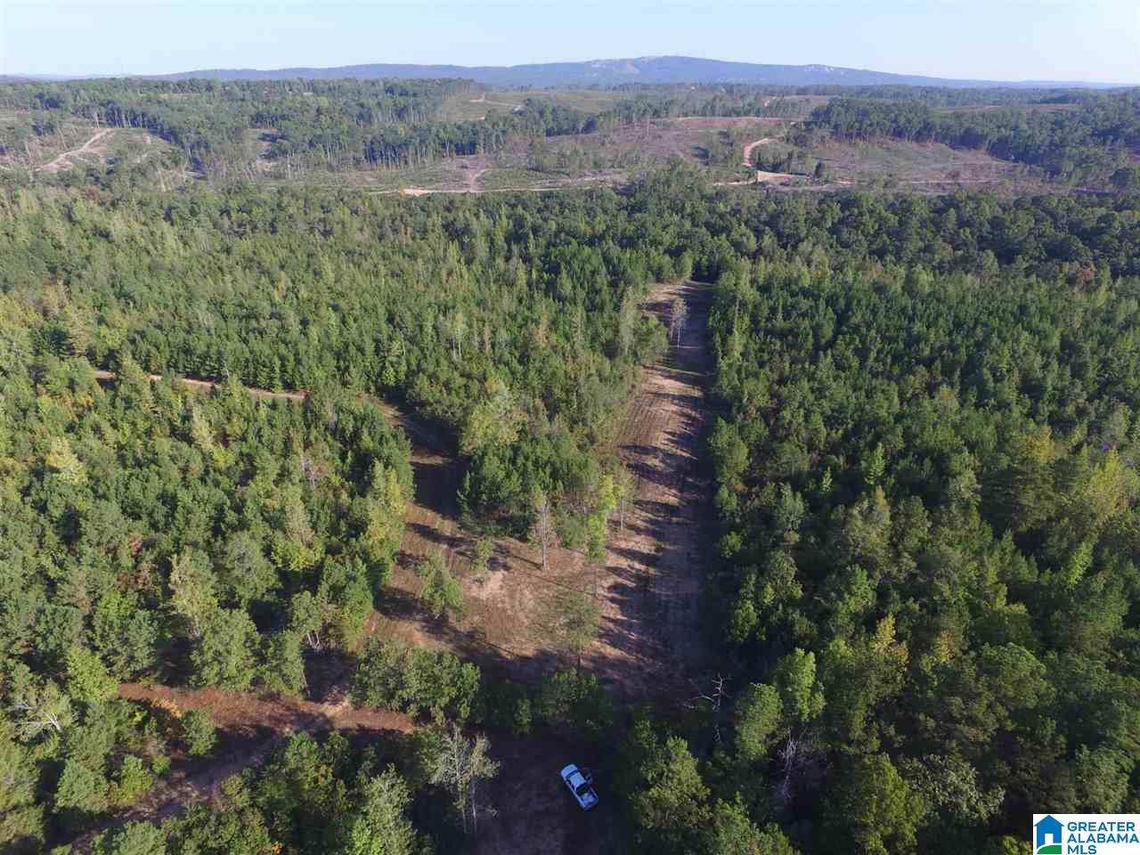 220 Gant Road, Unit 106 AC Pell City, AL 35128 - Photo 5 of 23