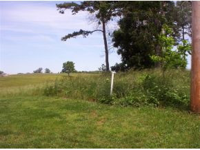 Lot 20 Fish Hook Road, Unit 20 Greeneville, TN 37743 - Photo 2 of 5 Photo 2