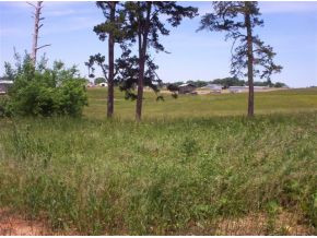Lot 20 Fish Hook Road, Unit 20 Greeneville, TN 37743 - Photo 3 of 5 Photo 3
