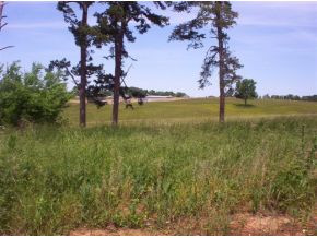 Lot 20 Fish Hook Road, Unit 20 Greeneville, TN 37743 - Photo 4 of 5 Photo 4