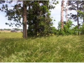 Lot 20 Fish Hook Road, Unit 20 Greeneville, TN 37743 - Photo 5 of 5 Photo 5