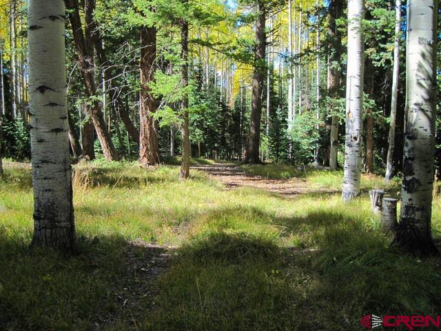 2002 Spruce Road Cimarron, CO 81220 - Photo 2 of 7 Gallery Image 2