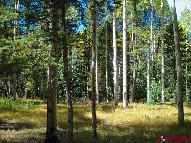 2002 Spruce Road Cimarron, CO 81220 - Photo 3 of 7 Gallery Image 3