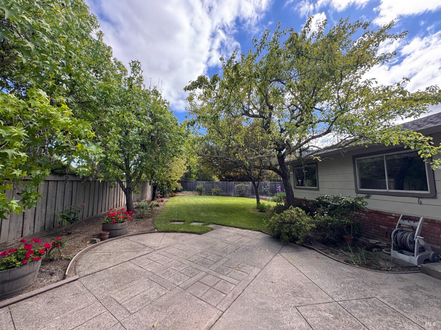 135 Fulton Place Windsor, CA 95492 - Photo 5 of 41 a view of backyard with potted plants and a large tree