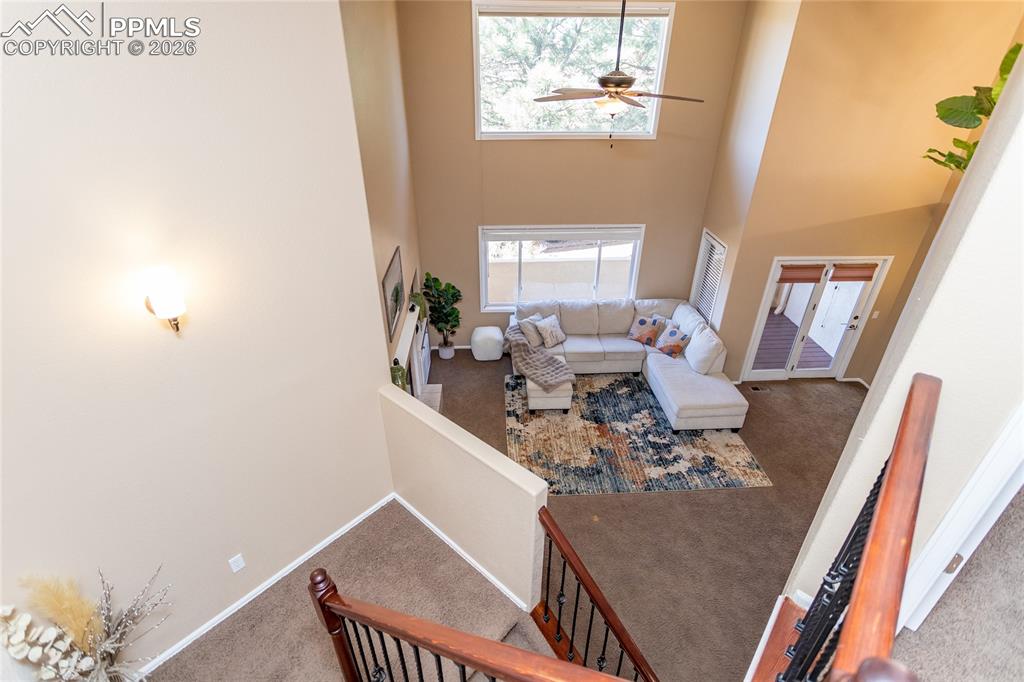 286 Luxury Lane Colorado Springs, CO 80921 - Photo 21 of 49