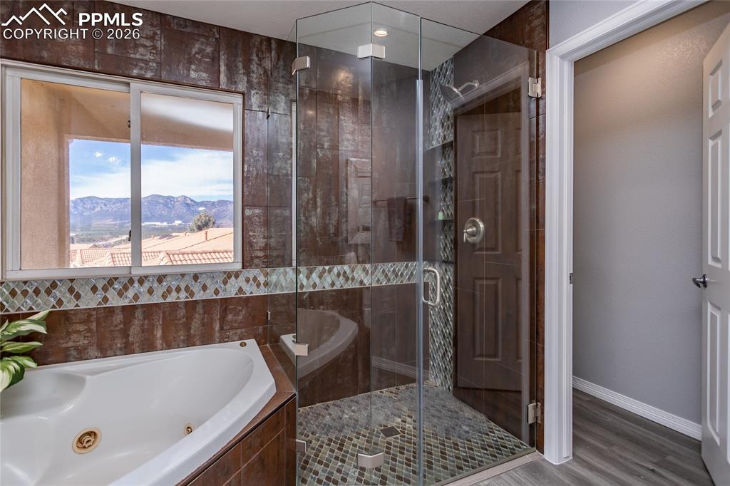 286 Luxury Lane Colorado Springs, CO 80921 - Photo 27 of 49