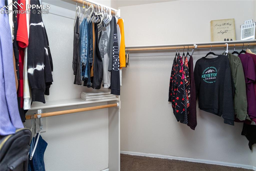 286 Luxury Lane Colorado Springs, CO 80921 - Photo 29 of 49