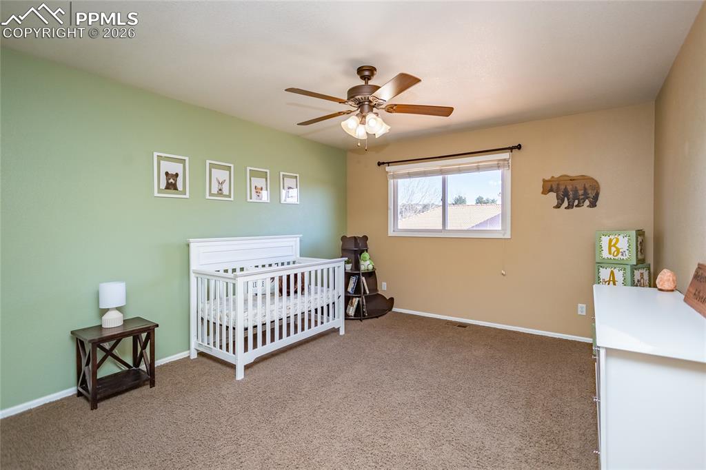 286 Luxury Lane Colorado Springs, CO 80921 - Photo 30 of 49 Upper bedroom