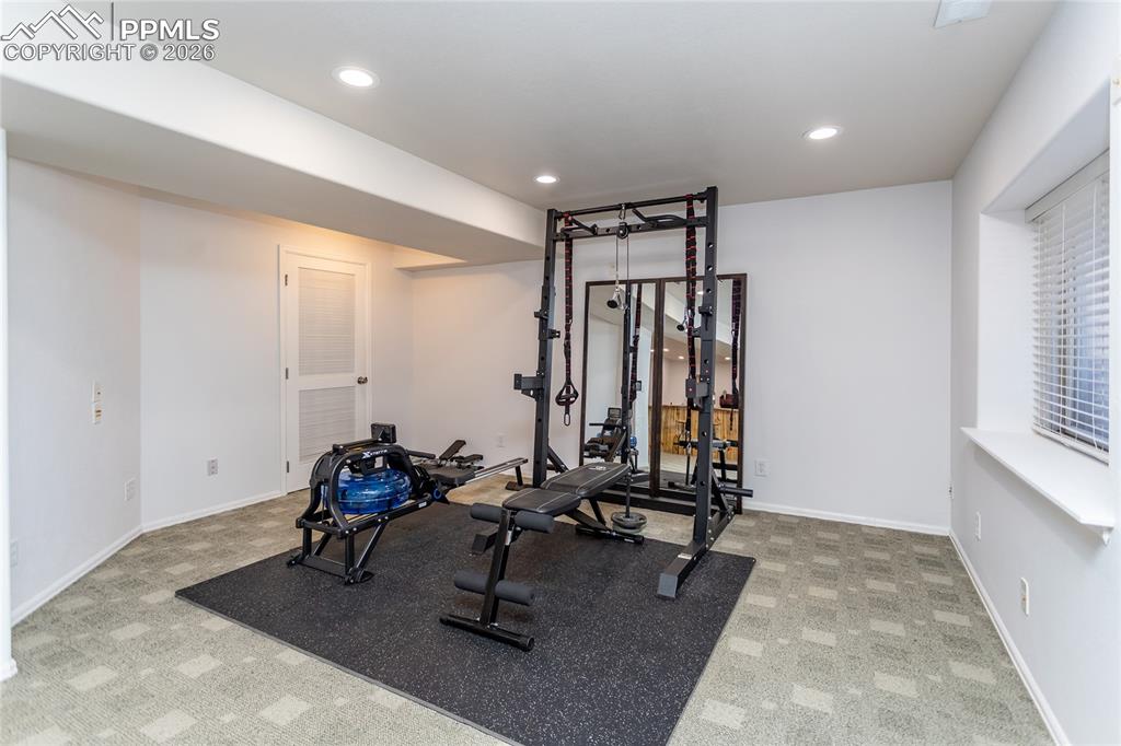 286 Luxury Lane Colorado Springs, CO 80921 - Photo 39 of 49