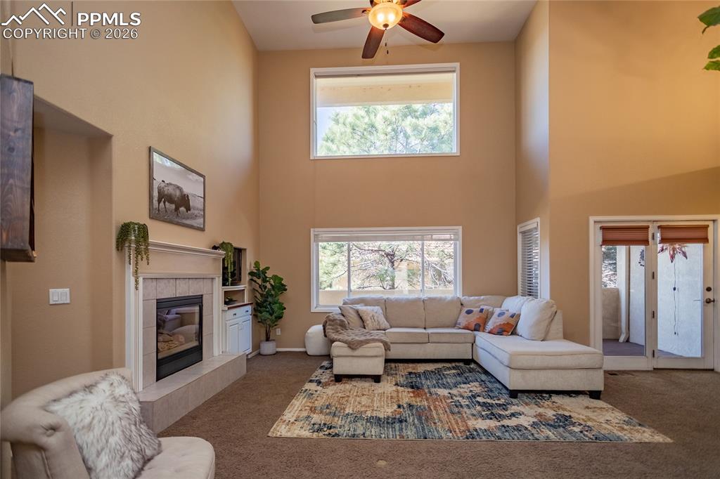 286 Luxury Lane Colorado Springs, CO 80921 - Photo 5 of 49