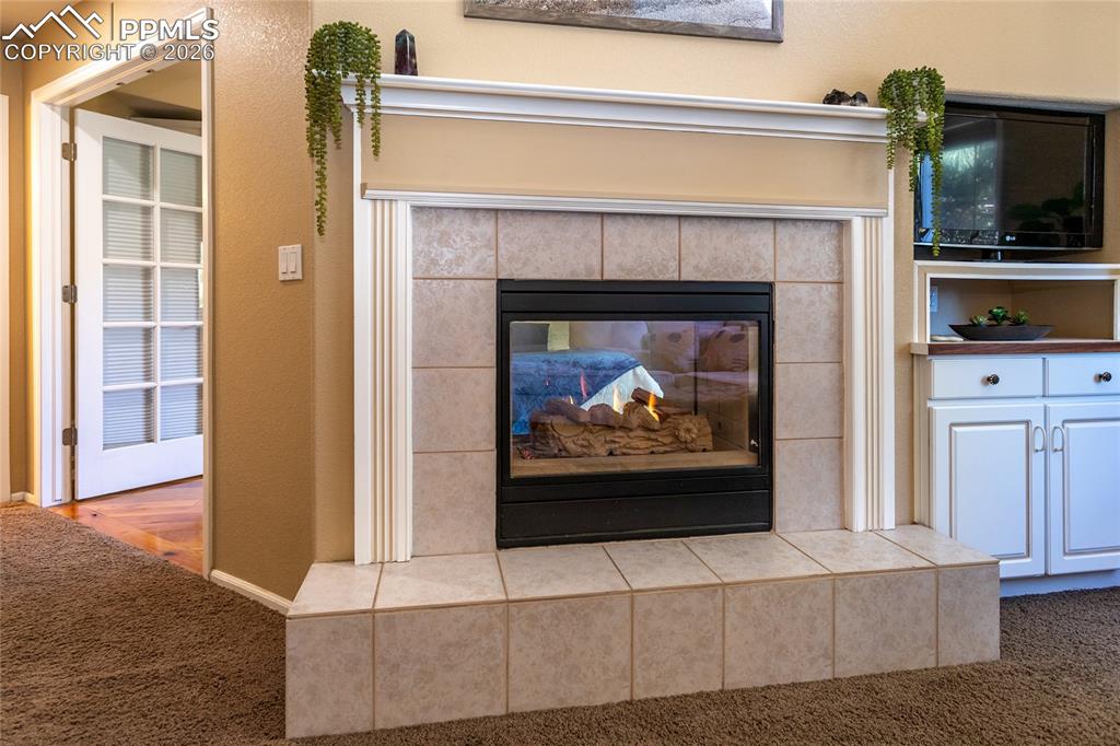 286 Luxury Lane Colorado Springs, CO 80921 - Photo 9 of 49