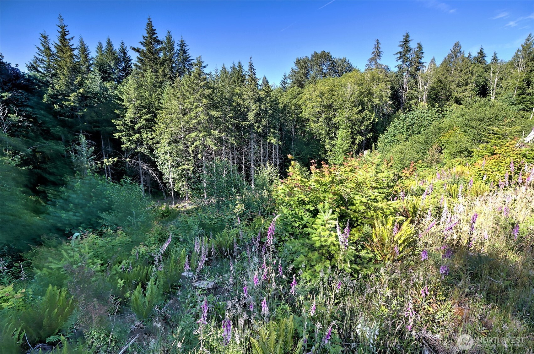434 West Bulb Farm Road Shelton, WA 98584 - Photo 7 of 24 Gallery Image 7