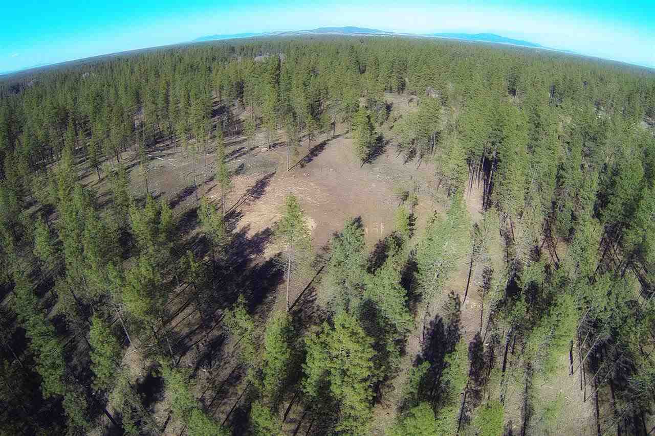 0 West Cameron Road Cheney, WA 99004 - Photo 3 of 8