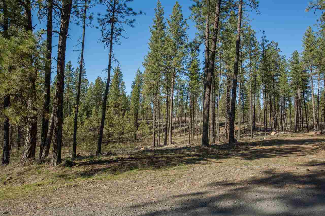 0 West Cameron Road Cheney, WA 99004 - Photo 4 of 8