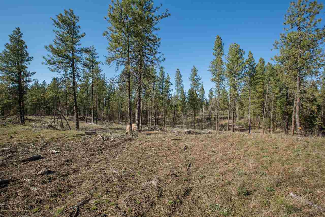 0 West Cameron Road Cheney, WA 99004 - Photo 5 of 8
