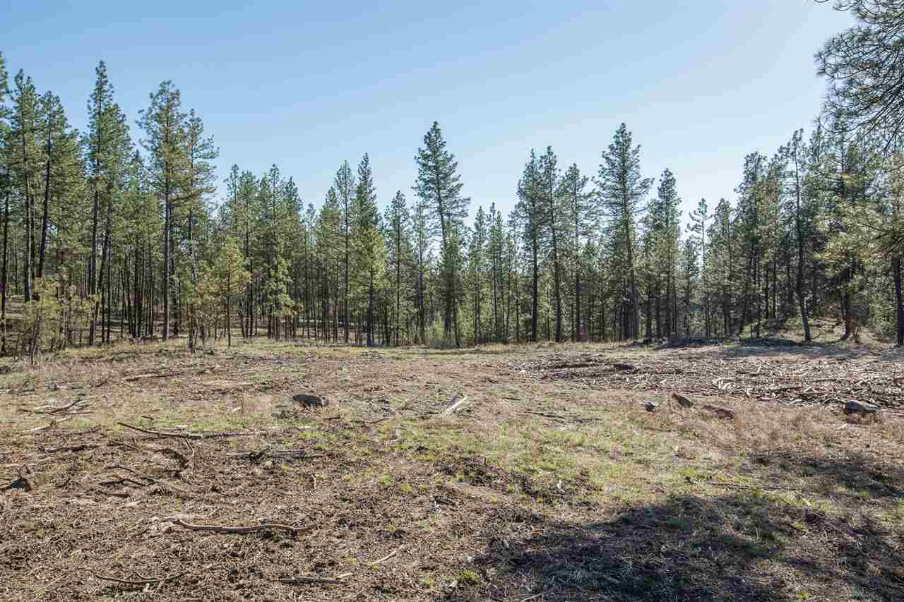 0 West Cameron Road Cheney, WA 99004 - Photo 6 of 8