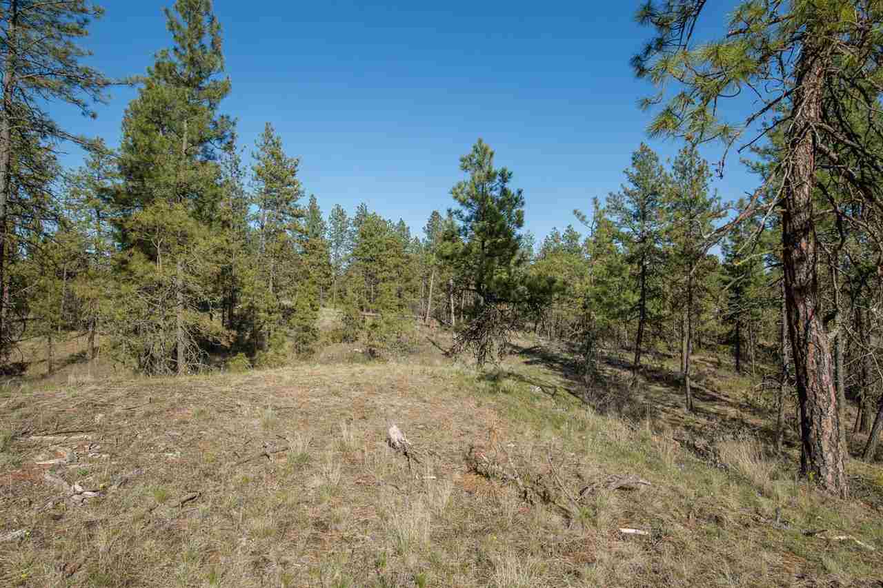 0 West Cameron Road Cheney, WA 99004 - Photo 7 of 8