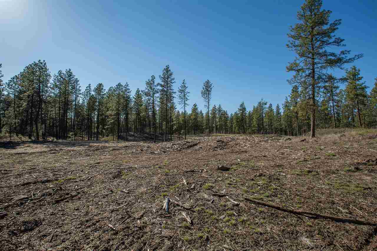 0 West Cameron Road Cheney, WA 99004 - Photo 8 of 8