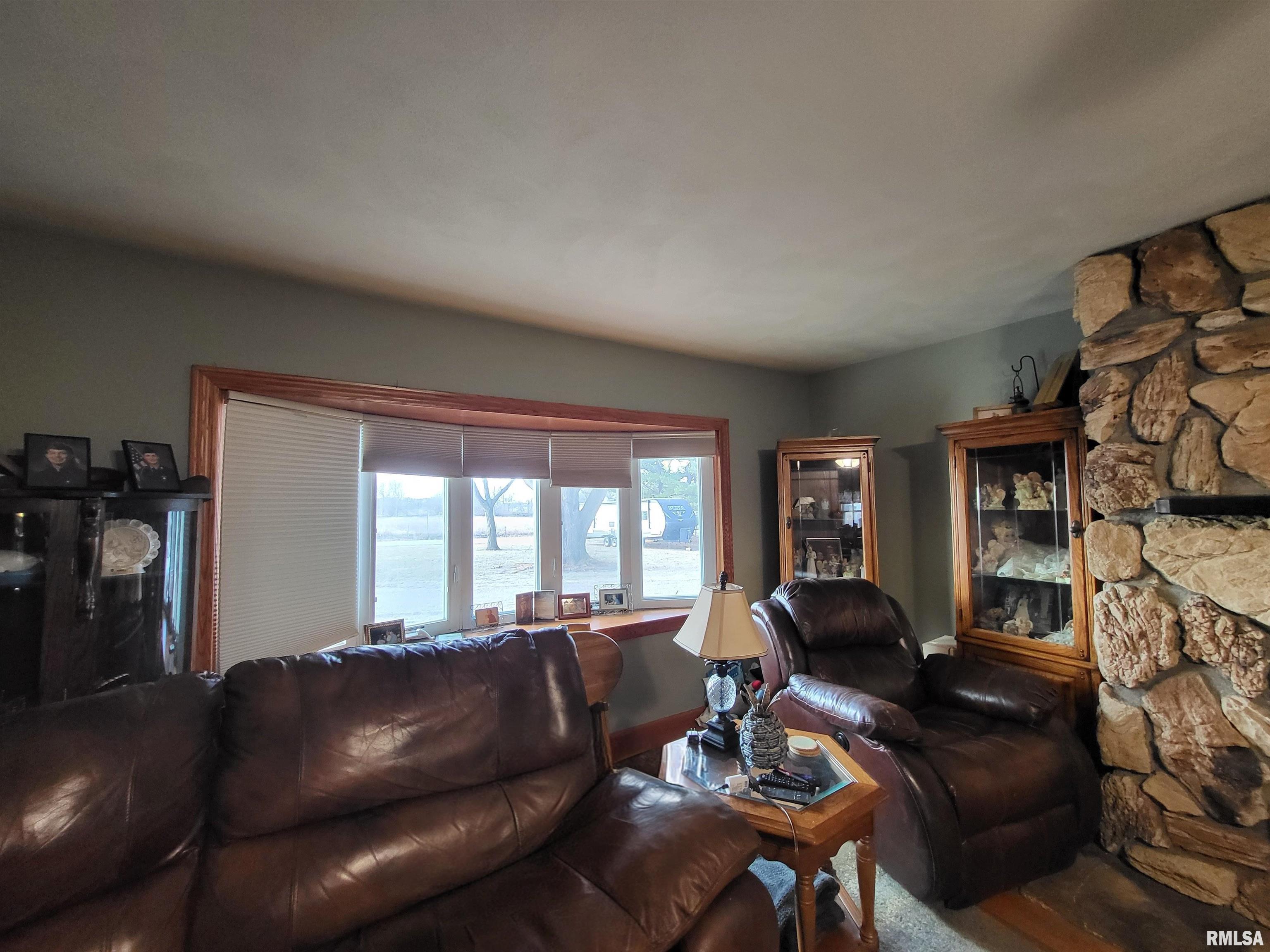 2400 Springfield Road Delavan, IL 61734 - Photo 7 of 36