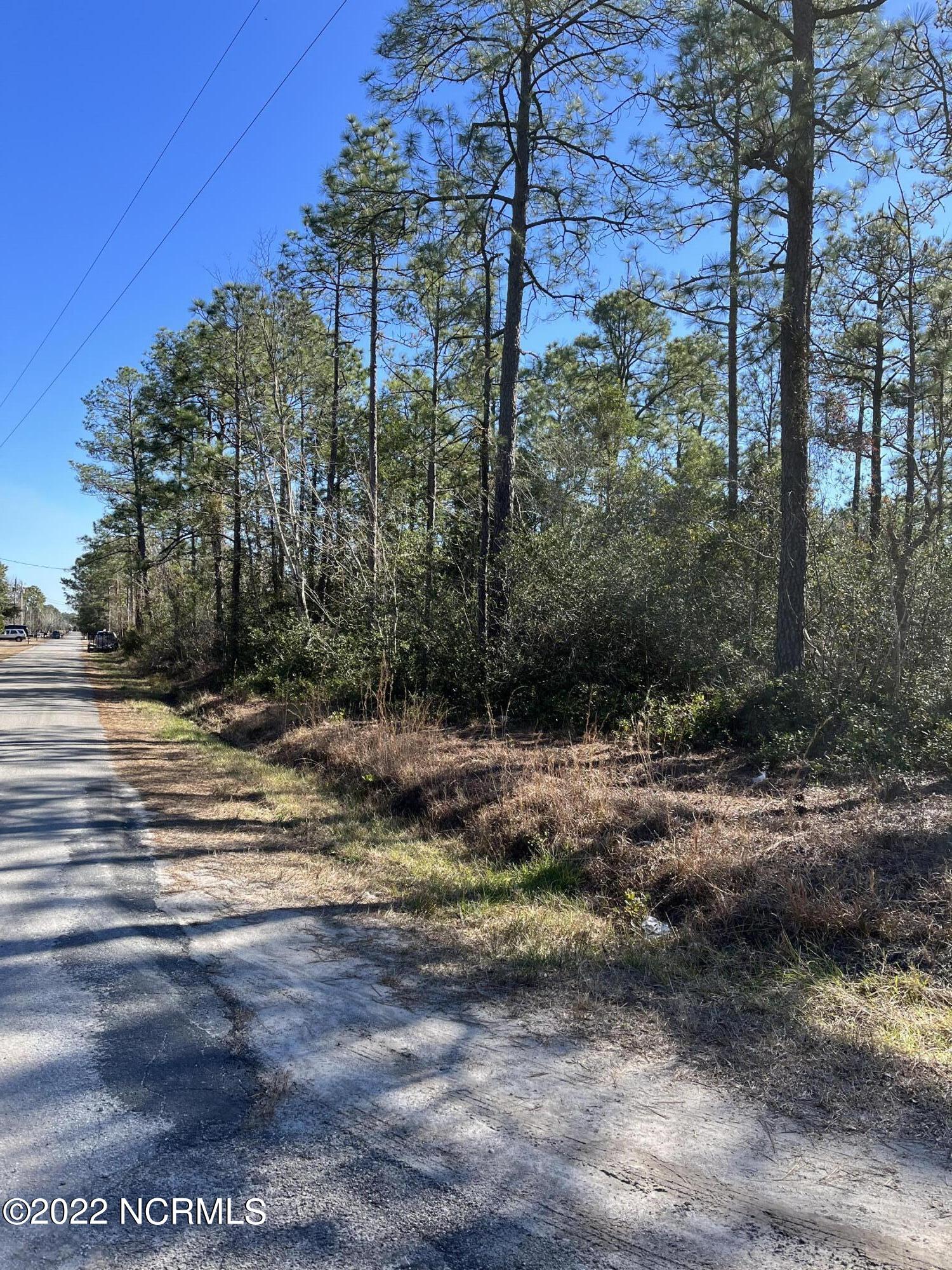 Lot #33 Ash Road Southport, NC 28461 - Photo 1 of 3 Lot #33 Street View