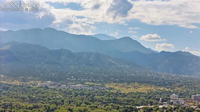 a view of a dry yard