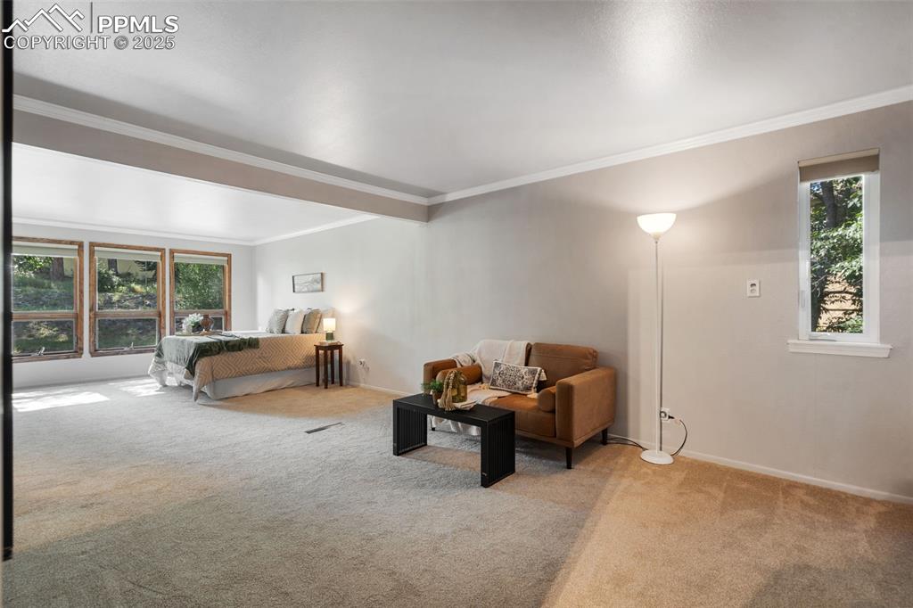 10 Haney Road Colorado Springs, CO 80906 - Photo 30 of 48 a bedroom with furniture and a large window