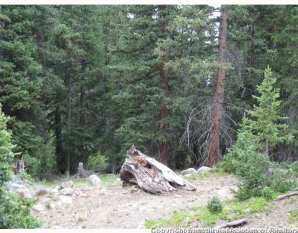 67 Webster Pass Road Dillon, CO 80435 - Photo 7 of 8 Land/Lot.