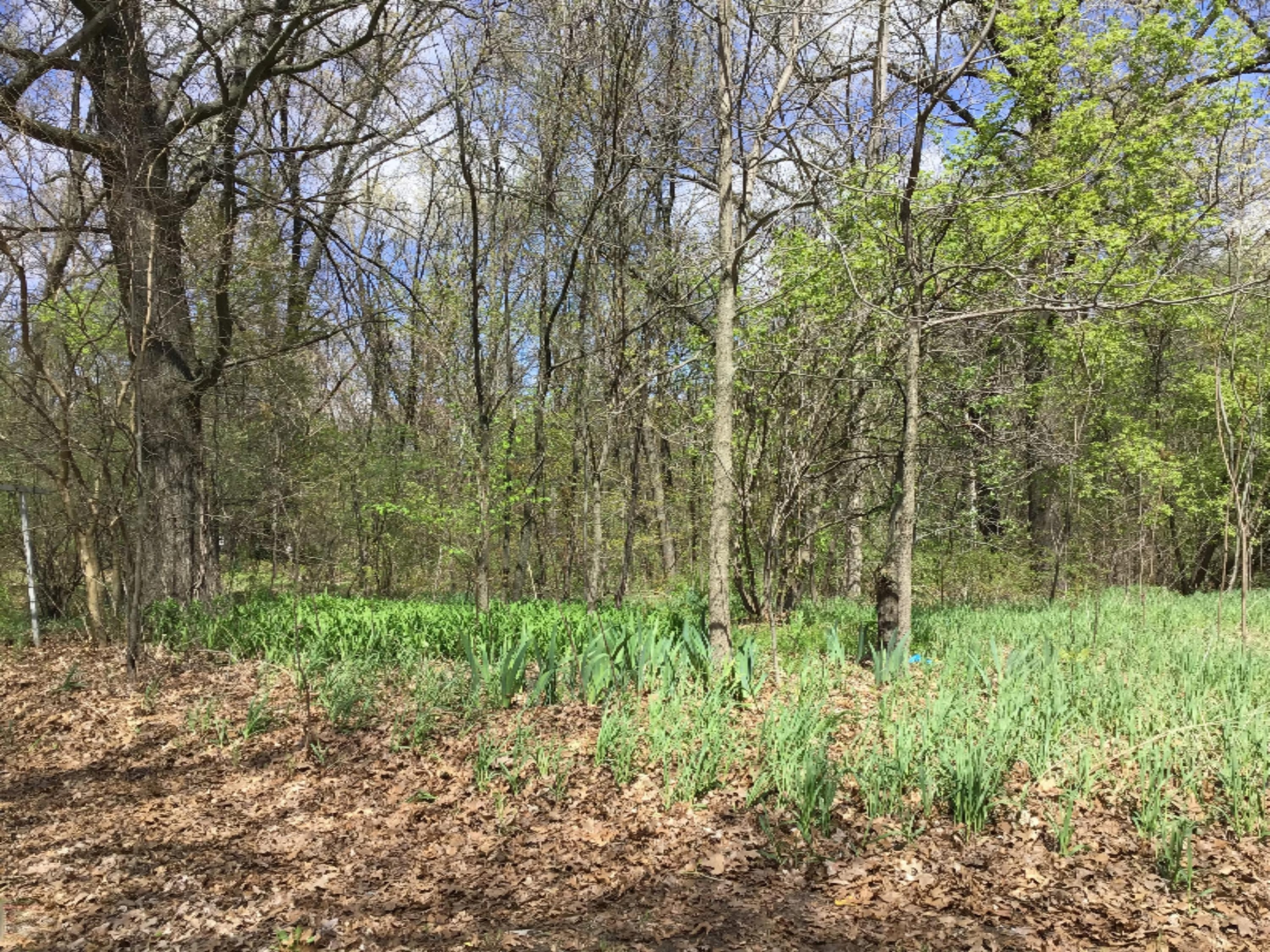 8131 Marsh Road Plainwell, MI 49080 - Photo 23 of 24 0AF9BA3F-1B55-4690-9B0A-132D13414166